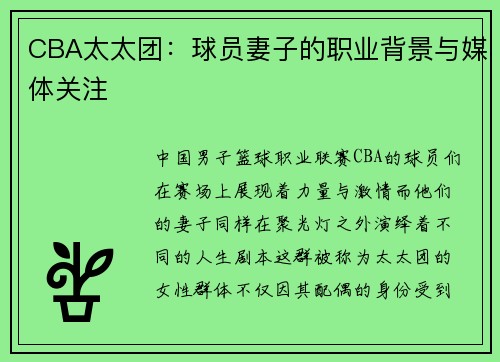 CBA太太团：球员妻子的职业背景与媒体关注